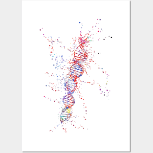 DNA molecule Posters and Art